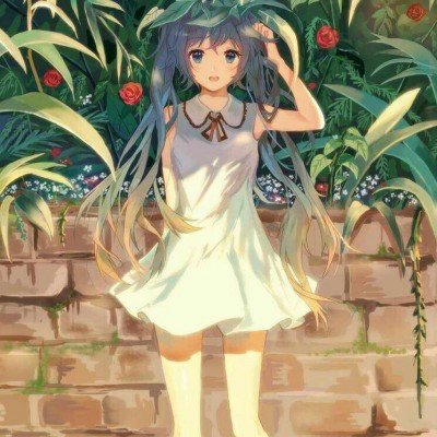济南XXL锦鲤双倍可爱暴击